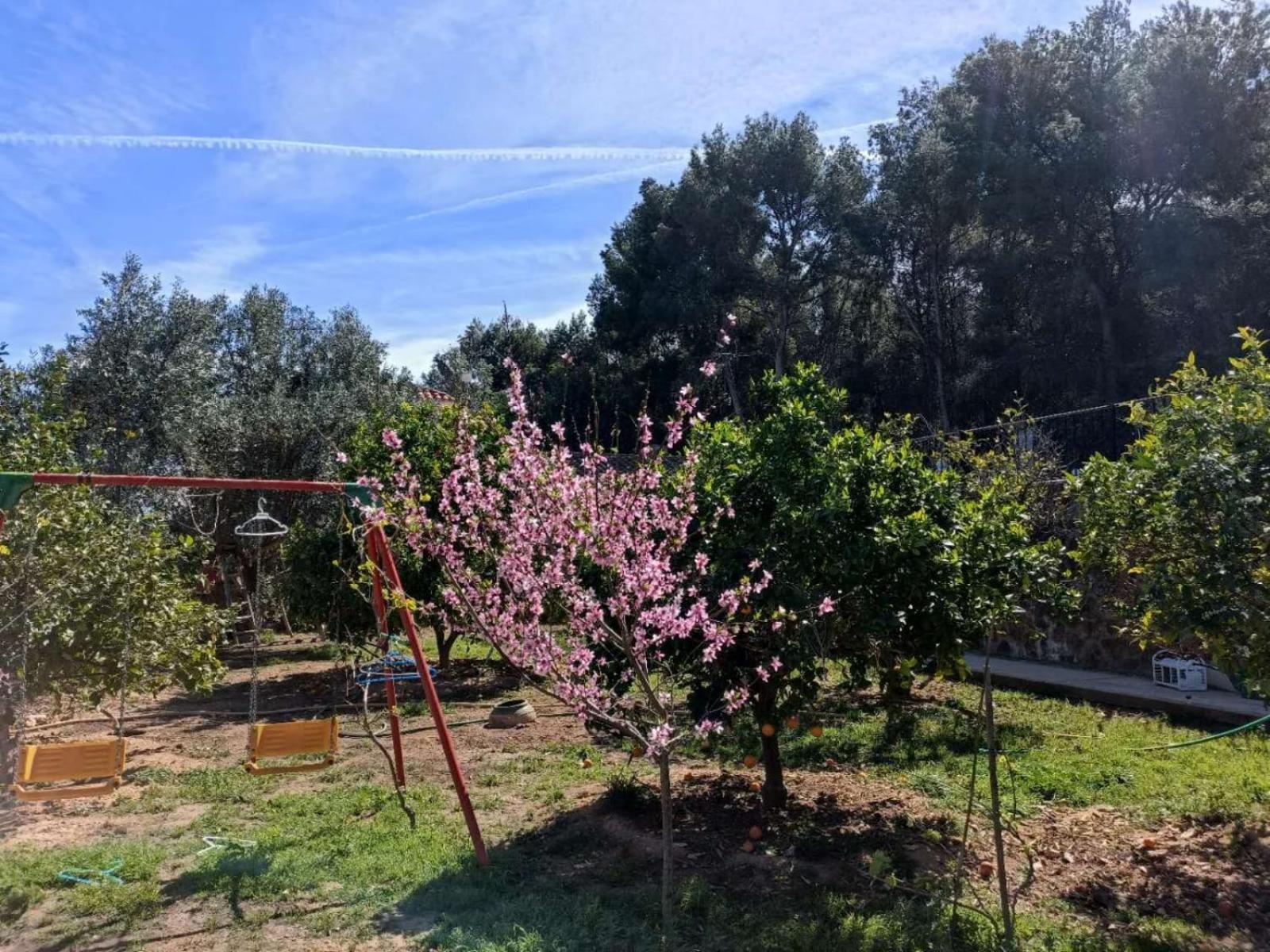 Bedroom With Private Bathroom And Two-bedroom Family In Quiet Forest 80m2 Large Swimming Pool Music Town The Garden And Swimmingpool And Garden Are Shared Privatunterkunft Lliria